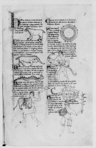 Pseudo-Beda p.8r - 1270 (circa)