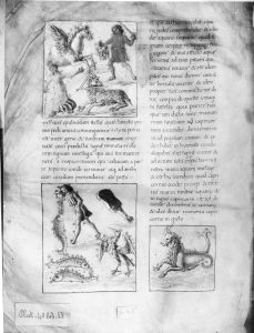 Palmieri, Matteo p.44v - 15th century (second half)