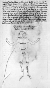 Österreichische Nationalbibliothek - 3162, fol. 196r - 1442