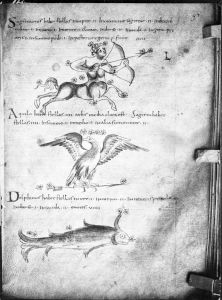 Landshut - 1516