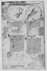 Bayerische Staatsbibliothek - Clm 10268, fol. 80v - 1340 (circa)