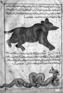 al-Qazwini p.20 - 15th century