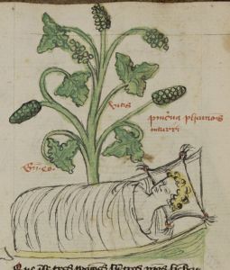 Stiftsbibliothek - Cod. 166, fol. 10v - 15th century (early)