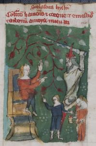 Stiftsbibliothek - Cod. 101, fol. 14r - 14th century (late)