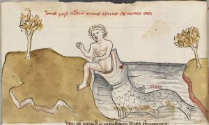 Universitätsbibliothek - Cod.I.2.2.24 (Oettingen-Wallersteinsche Bibliothek), fol. 67v - 1456