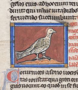 Sidney Sussex College - 100, fol. 21v - 1230 (circa)
