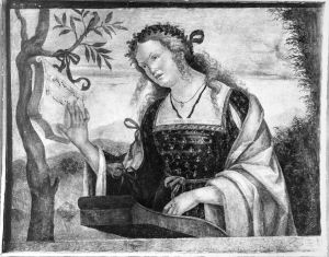 Giolfino, Niccolò, the younger (1476-1555) - 1500