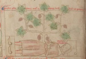 Bibliothèque nationale de France - fr. 400, fol. 5v - 14th century (second half)