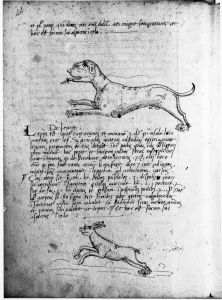 Scot, Michael p.44 - 15th century