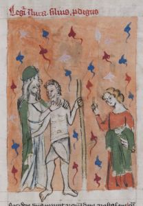 Stiftsbibliothek - Cod. 101, fol. 17r - 14th century (late)