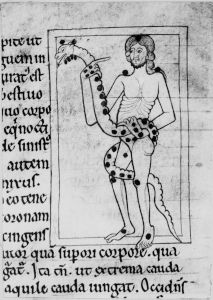 Bodleian Library - Digby 83, fol. 49v - 12th century (third quarter)