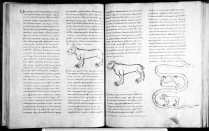 Stiftsbibliothek - 902, fol. 82-83 - 9th century (second half)