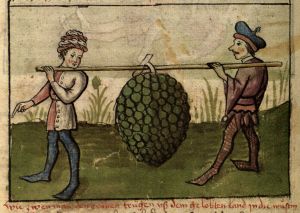 Provinzialbibliothek - 2 Ms. 46, fol. 56v - 1415 (circa)
