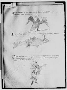 Bibliothèque nationale de France - lat. 12117, fol. 135v - 1060 (circa)