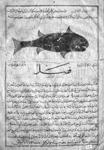 al-Qazwini p.48 - 15th century