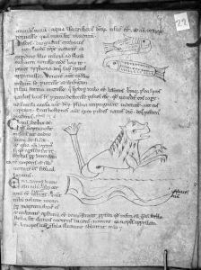 Hyginus p.22r - 12th century