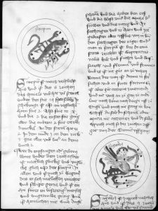 Scot, Michael p.114v - 1436