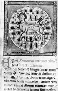 Bibliothèque Municipale - 562, fol. 115r - 13th century (third quarter)