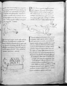Stiftsbibliothek - 902, fol. 95 - 9th century (second half)