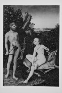 Cranach, Lucas the Elder (1472-1553) - 1530