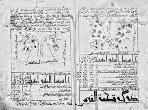 al-Sufi - 15th century