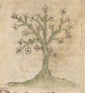 British Library - Add MS 11575, fol. 20v - 1410 (circa)