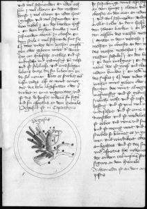 Scot, Michael p.121r - 1436