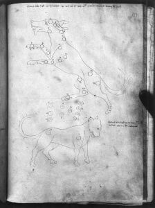 al-Sufi p.133r - 14th century