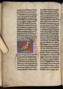 Sidney Sussex College - 100, fol. 21v - 1230 (circa)