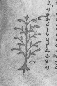 Ovid (Publius Ovidius Naso) p.7v - 13th century (first quarter)