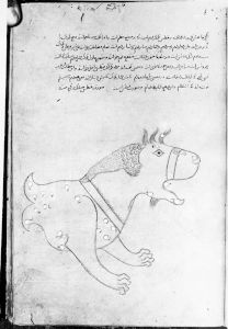 al-Sufi p.75r - 1250 (circa)
