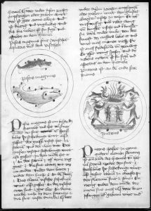 Scot, Michael p.126r - 1436