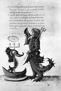 Niccolò d'Antonio degli Agli p.71r - 1475