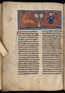 Sidney Sussex College - 100, fol. 28v - 1230 (circa)