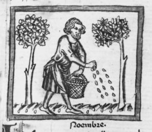 Ermengaud, Matfre p.44r - 15th century