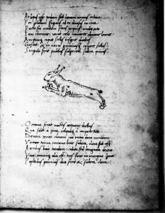 Basinio da Parma (Basinius Parmensis) p.13r - 15th century (second half)