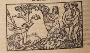 Ovid (Publius Ovidius Naso) p.96v - 1539