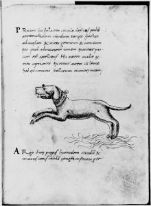 Hyginus p.30r - 15th century