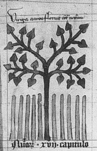 Bibliothèque royale de Belgique - 281-283 (cat. no. 2140), fol. 12r - 1390 (circa)