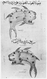 al-Sufi p.247r - 1430