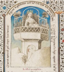 Stiftsbibliothek - Cod. 206(49), fol. 13 - 1450 (circa)