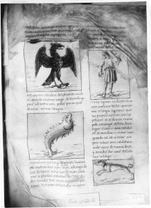Palmieri, Matteo p.45r - 15th century (second half)