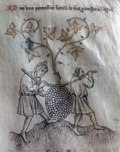Magdalene College (Pepys Library) - 2359, fol. 23r - 15th century