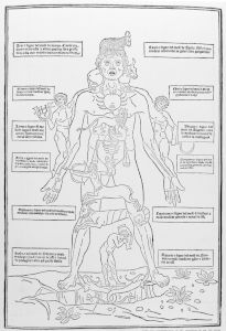 Ketham, Johannes de - 1493