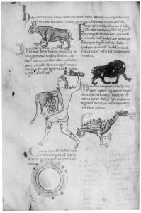 Pseudo-Beda p.31v - 12th century