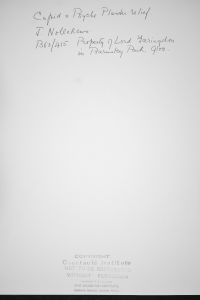 Anonymous