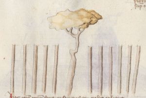 Bayerische Staatsbibliothek - Clm 9716, fol. 20r - 15th century