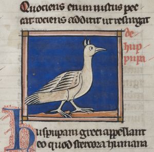 Sidney Sussex College - 100, fol. 22r - 1230 (circa)
