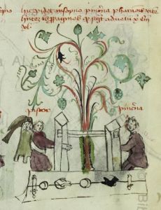 Biblioteca Apostolica Vaticana - Pal. lat. 1806, fol. 9v - 1401 (circa)