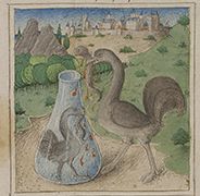 Bibliothèque municipale - 183, fol. 28v - 1450 (circa)